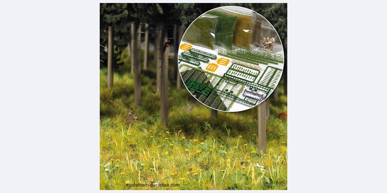 6043 ... Starter-Kit Wald & Wiese