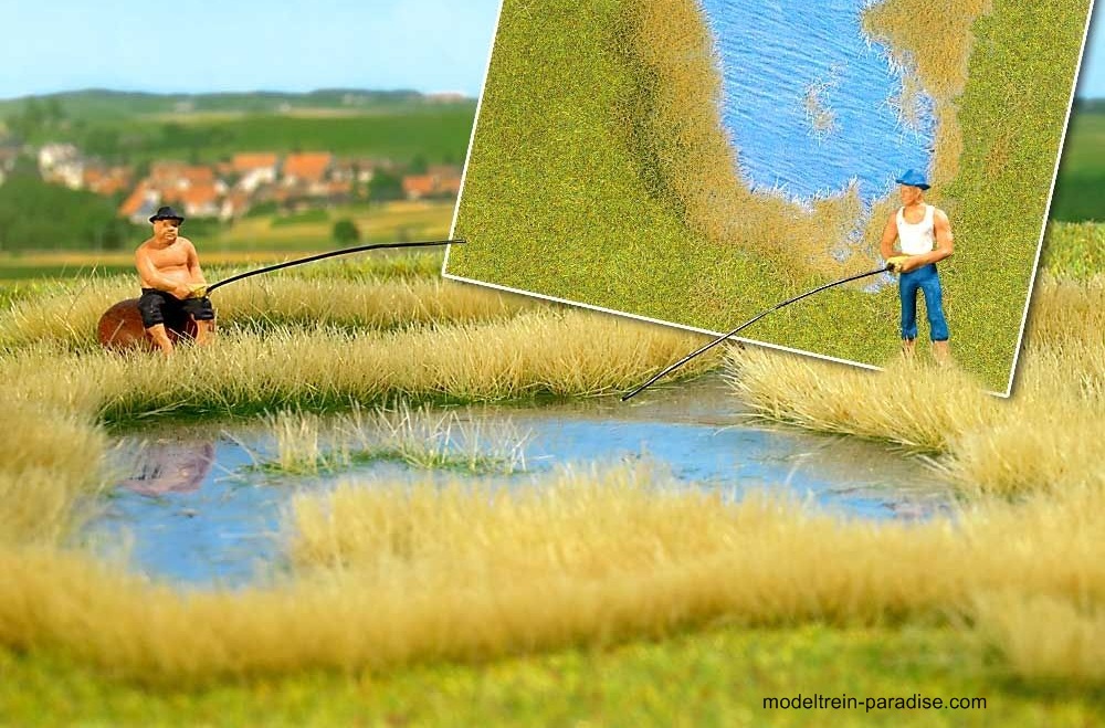 1312 ... Meer met heidegras