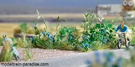 1262 ... Korenbloemen