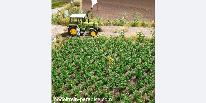 1266 ... Aardappelplanten