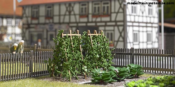 1269 ... Bonenranken