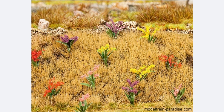 181251 ... Flowering plants