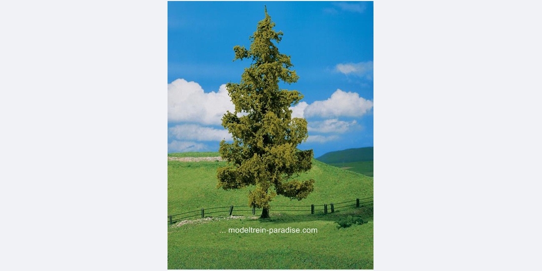 181315 ... 1 PREMIUM Larch