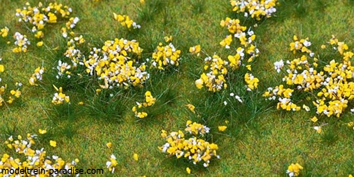 180467 ... PREMIUM Landschaps-segment, Bloemenweide, gekleurd