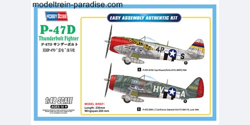 85804 ... P47D Thunderbolt Fighter