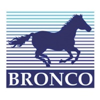 Bronco