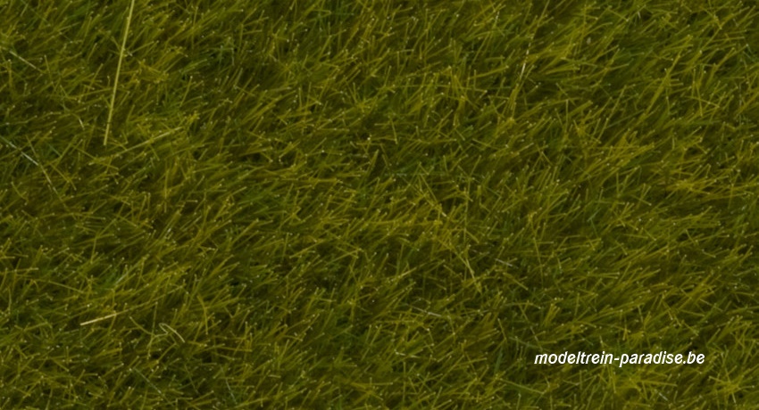 07090 ... Wild Grass Meadow, 6 mm