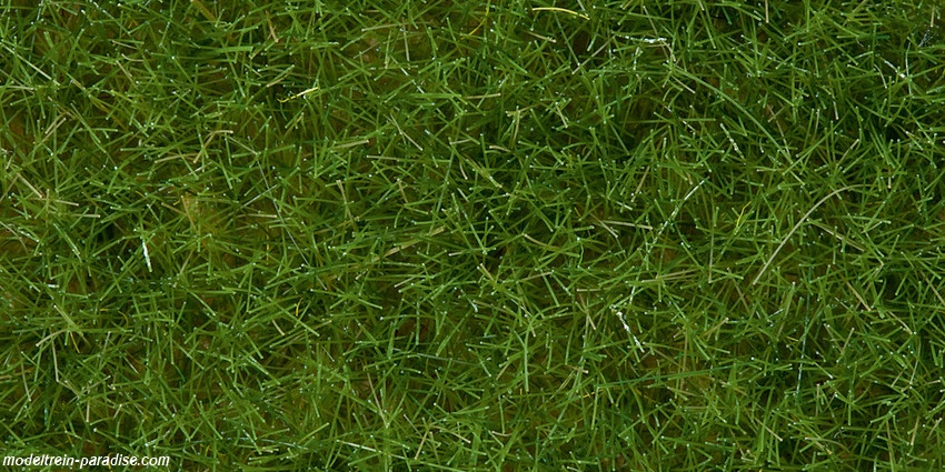 07092 ... Wild gras, licht groen, 6mm