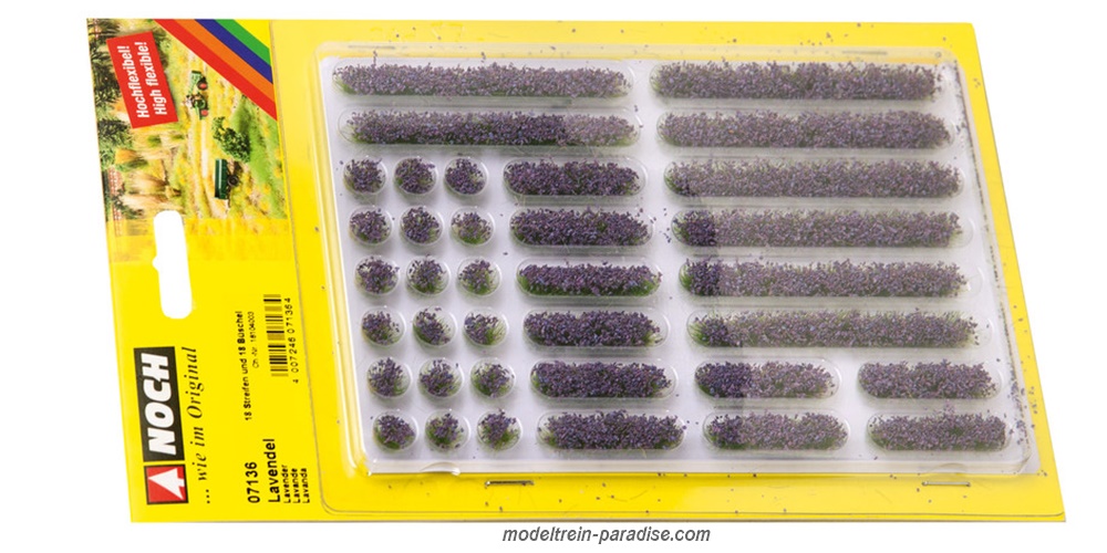07136 ... Lavendel ... 36 stuks