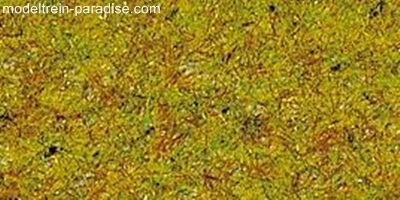 50190 ... Weidegras in de zomer (100 g)