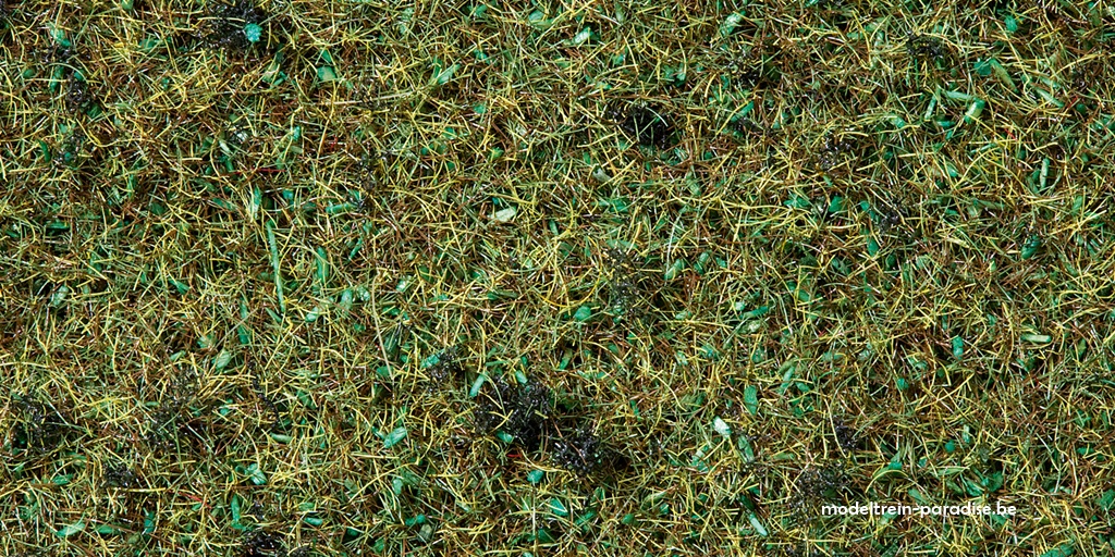 08350 ... Gras "bosbodem" (20 g)