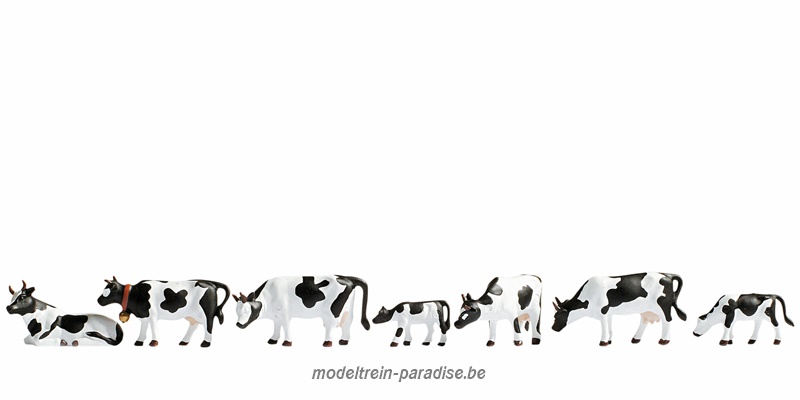 15721 ... 7 Zwart-witte koeien
