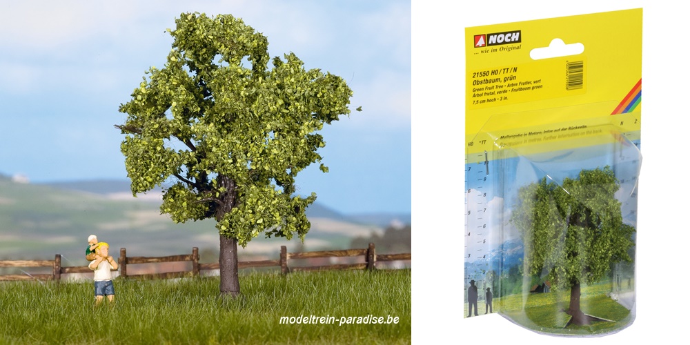 21550 ... Fruitboom, groen