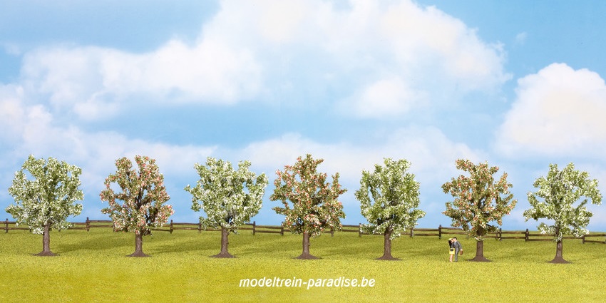 25092 ... Fruitbomen, bloeiend 7 stuks, +- 8 cm hoog