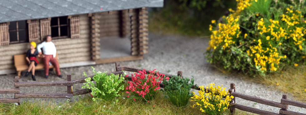 Grasbosjes en grasstroken