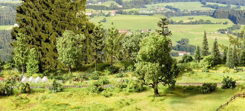 Landschaftsgestaltung