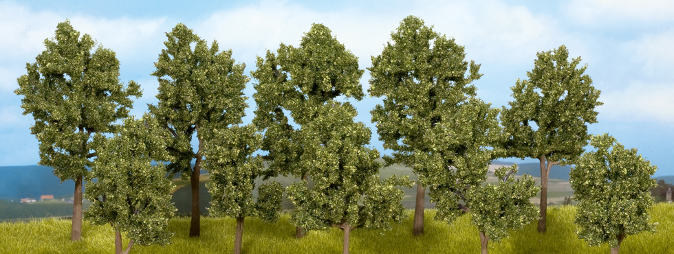 9/5000 Deciduous trees