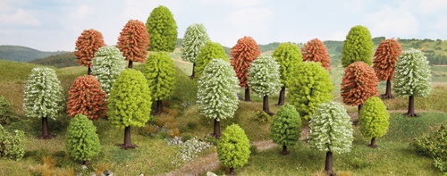 Arbres à feuilles