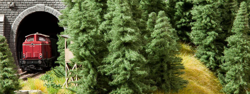 Coniferous trees