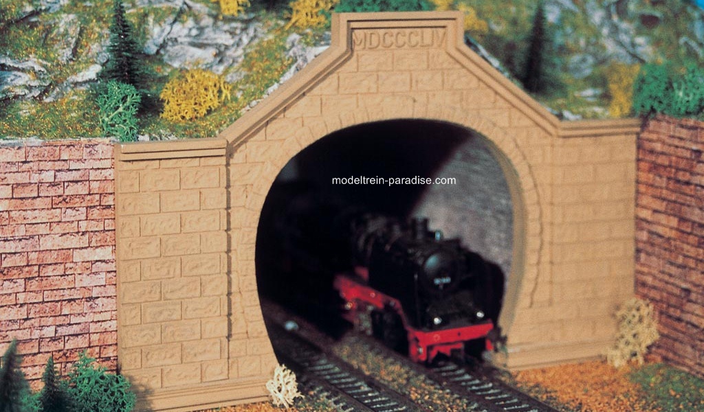 42505 ... Tunnelportal "Rheintal", 2-gleisig