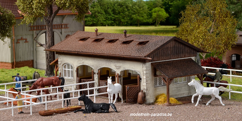 43790 ... Manege met paarden